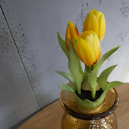 Carpano, Ogrodnicza 7 / Appartement *