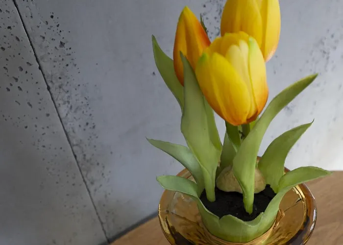 Carpano, Ogrodnicza 7 / Apartment *